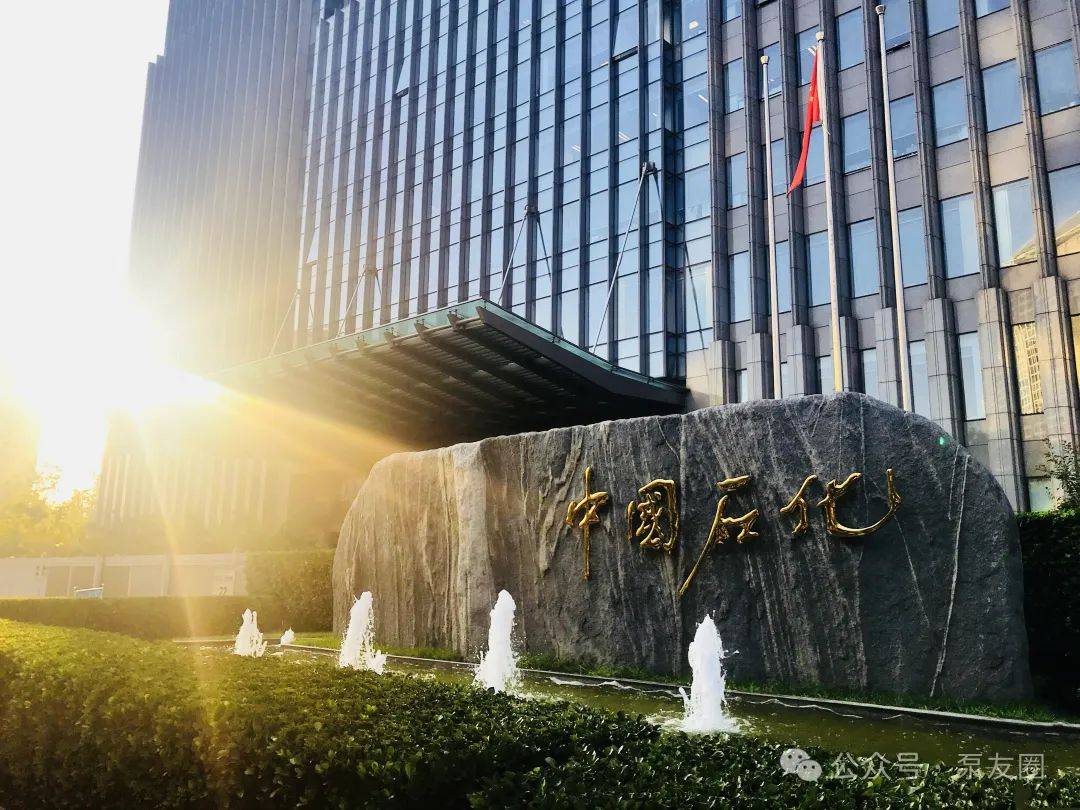 深度解析：各企业在不同领域的超强实力，探秘企业专长：在各自领域独领风骚