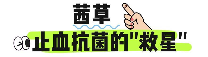 〈哪吒之魔童闹海〉热映，申公豹出圈，中药知识受关注 申公豹逆袭背后：电影中的中药养生之道
