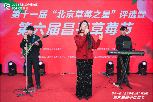 草莓大集：多种精彩活动等你参与，草莓大集：一站式趣味体验之旅