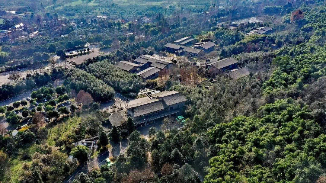 3月1日免费游都江堰中华大熊猫苑，预约详情早知道，都江堰中华大熊猫苑免费开放日（3月1日）预约全知道