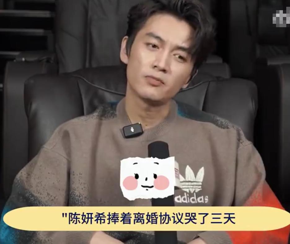 从如胶似漆到形同陌路：陈晓陈妍希离婚之谜，陈晓陈妍希离婚：是变心还是另有隐情？