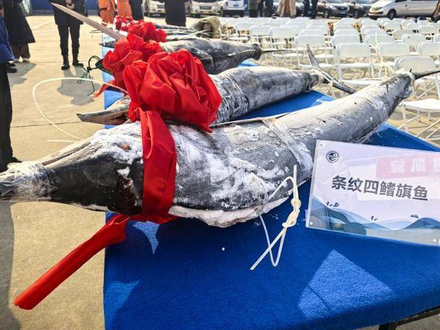 “蓝海101”号调查船航次结束：揭开中西印度洋渔业神秘面纱