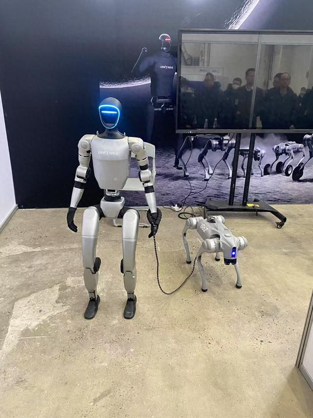 2025上海全球开发者先锋大会：人形机器人齐聚一堂