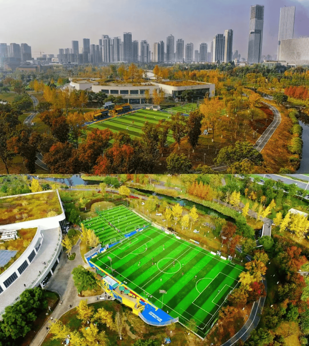 四川天府新区“天府杯”：半年赛程的足球盛宴，“天府杯”足球联赛：在公园城市里的全民健身狂欢