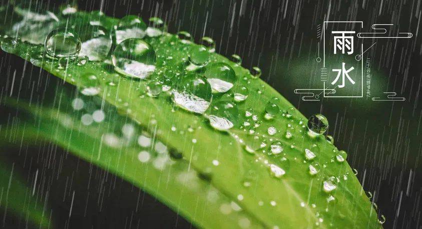 雨水节气：由来、习俗与诗词之美，雨水：传统节气的诗意与习俗