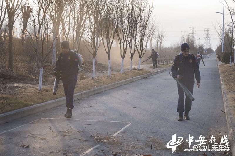 国家消防救援局安徽机动队伍：清理林下可燃物，防范森林火灾，安徽机动队伍清理林下可燃物，助力森林防火与市容改善