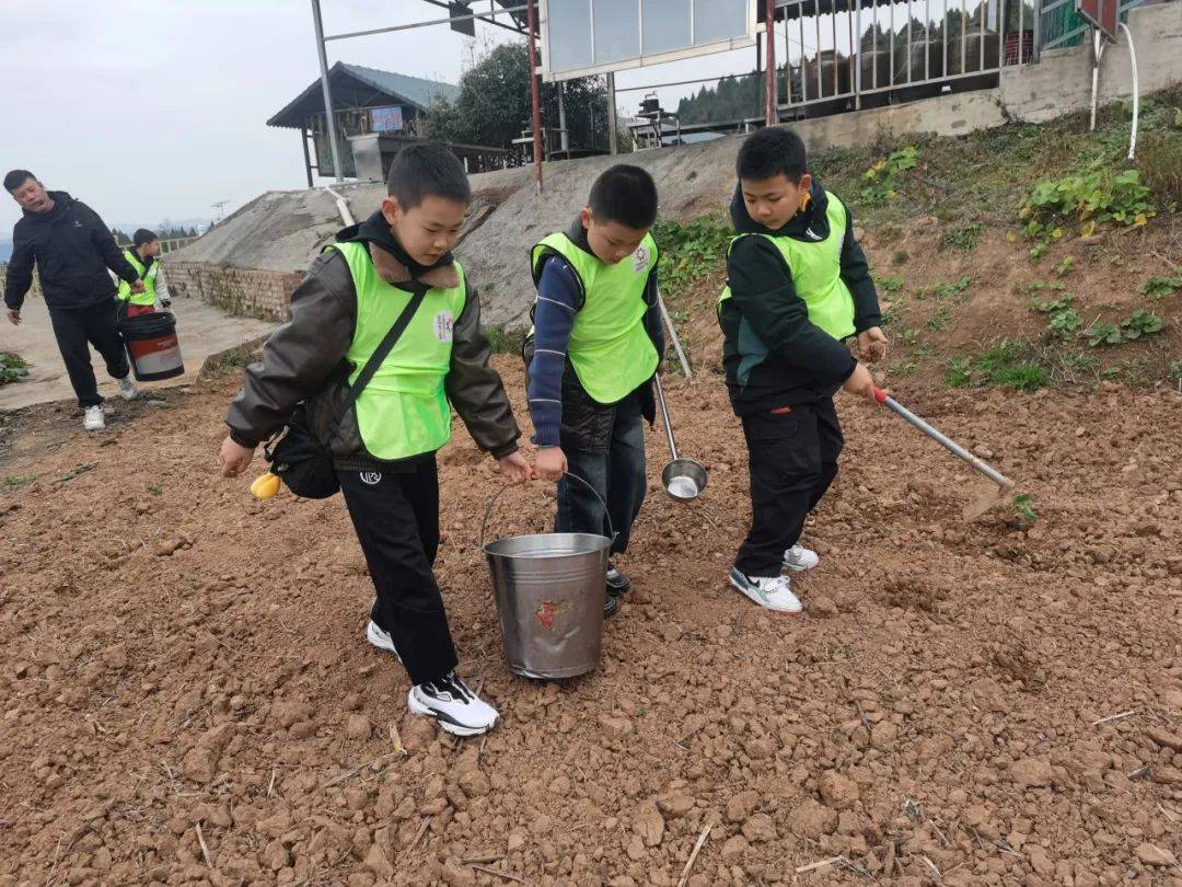 龙潭乡的农耕研学：让青少年在劳动中成长，苴国社区与利州社协举办的研学活动：青少年的田园乐学之旅
