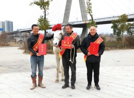 “白龙马”已去：驮主救人壮举难忘，仙桃建雕像存疑