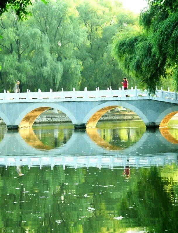 佳木斯之旅：感受北国风光的多元魅力，走进佳木斯：探寻北国风光的别样之美