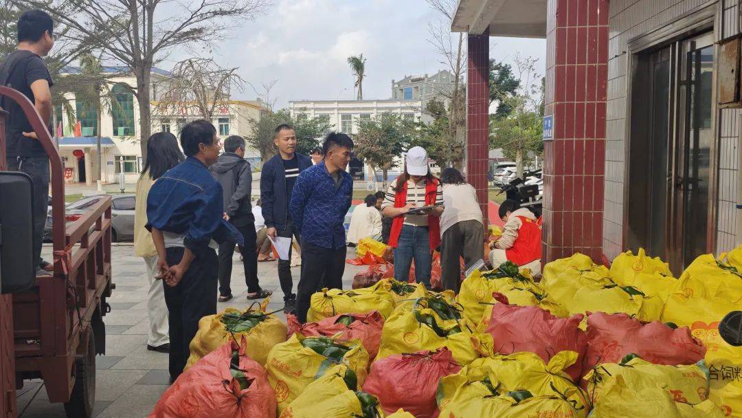 文昌：以文明实践绘就乡村振兴多彩画卷，文昌市：文明实践助力基层治理与乡村振兴
