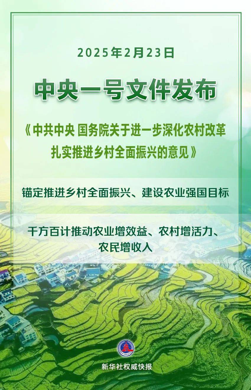 中央一号文件2025：农村改革与乡村振兴的新指引 2025年中央一号文件：推动三农发展的新蓝图