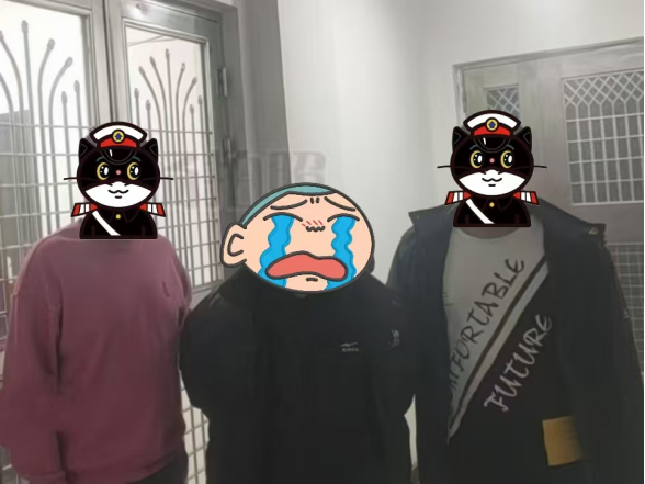 丹东振安分局追逃成果：多名网上逃犯归案 丹东振安分局：追逃不停歇，逃犯纷纷落网
