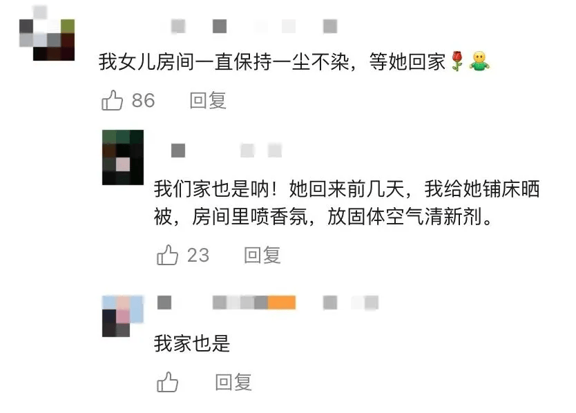 春节来临，你的行李箱是啥样？，行李箱里的春节：混乱与温馨