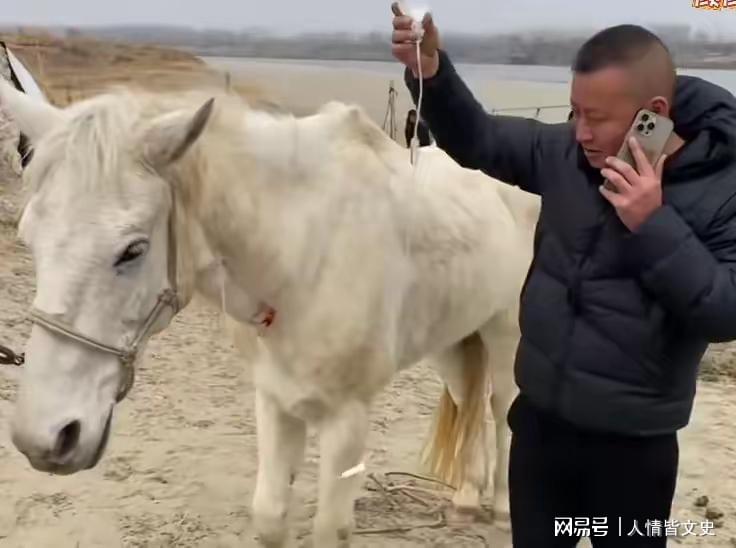 白龙马跳江救人后抢救无效去世，专家解读原因，白龙马跳江救人后离世，专家解析病因