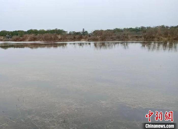蒋巷镇：小龙虾养殖带动村民就业与乡村振兴