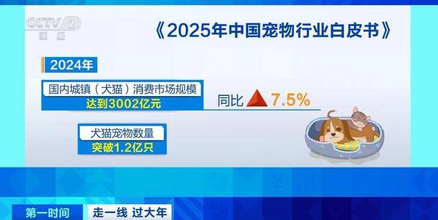 宠物托管师：新兴职业的崛起与发展，宠托师：忙碌背后的信任与责任