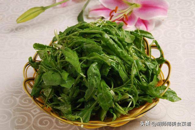 春日养生：三种特色野草美食制作