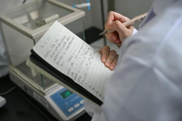 开学啦！校园里的青春画卷，2025开学日：校园生活的新开始