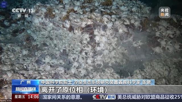 探秘即将开建的冷泉生态系统研究装置，广州南沙开建世界首个2000米级深海实验室