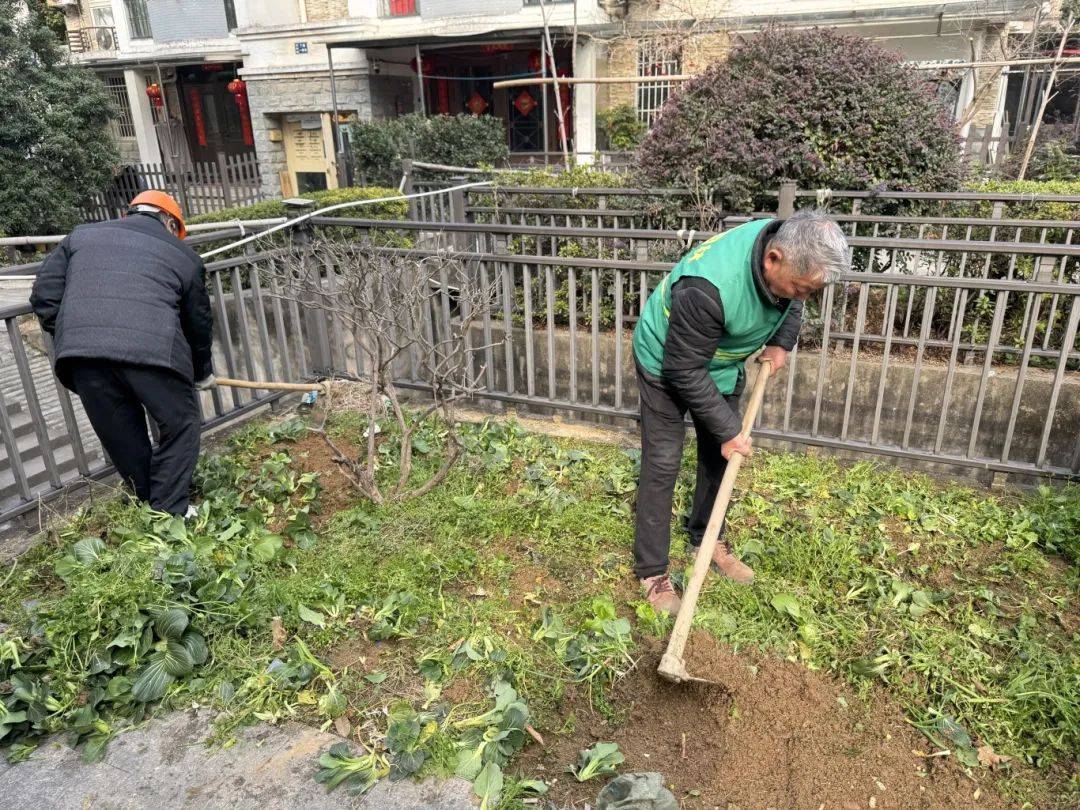 桐庐：大奇山居和新天地花园的品质提升之旅