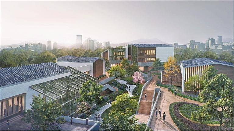 深圳：一批新高中校区即将启用，深圳新高中校区启用：教育资源大扩容