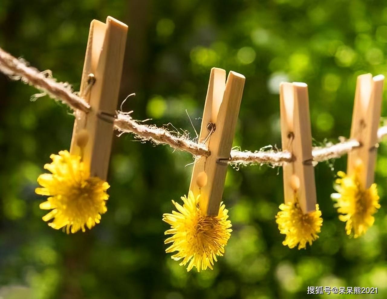 探寻真爱：分享欲和分担欲的重要性 真爱之道：分享与分担的情感奥秘