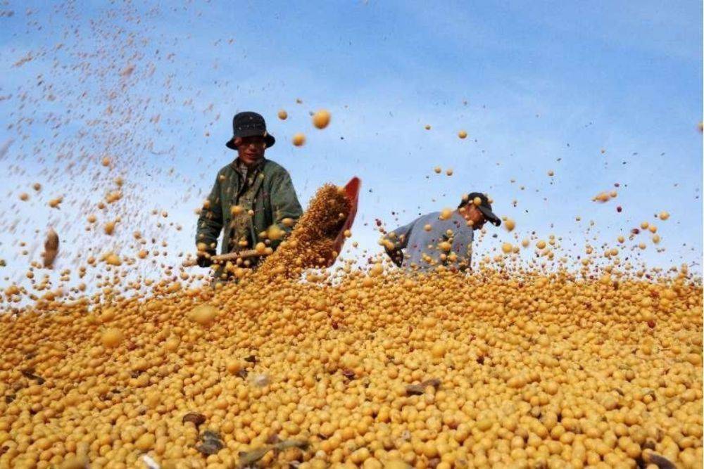 龙江哈尔滨：亚冬会与中国年交融的冰雪画卷