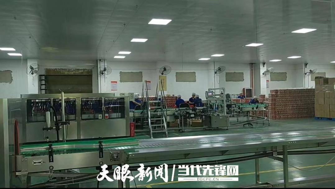 金沙古酒：新一年的生产计划与展望，金沙古酒：政策加持下的发展新机遇