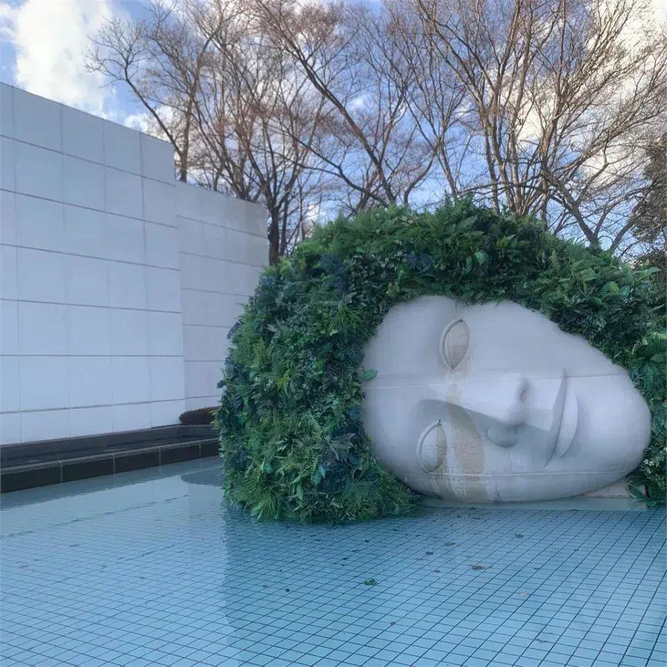 大S溘然长逝，亲人们告别仪式上的表现 大S日本流感去世，告别式背后的故事