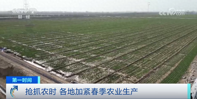 春之农事：各地积极开展春季农业相关工作，聚焦春季农业：田间管理与春耕活动大扫描