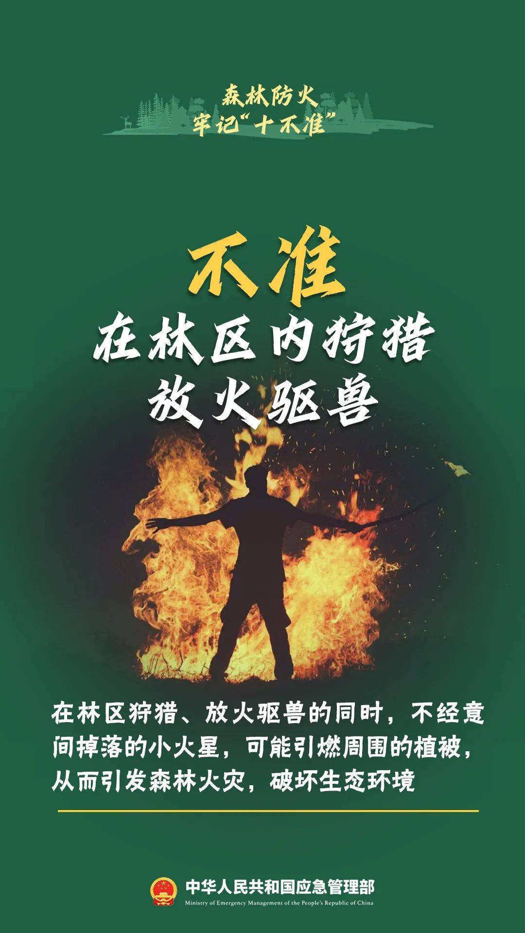 寒假烟花虽美，背后风险不容忽视！ 燃放烟花有风险，寒假期间需谨慎！