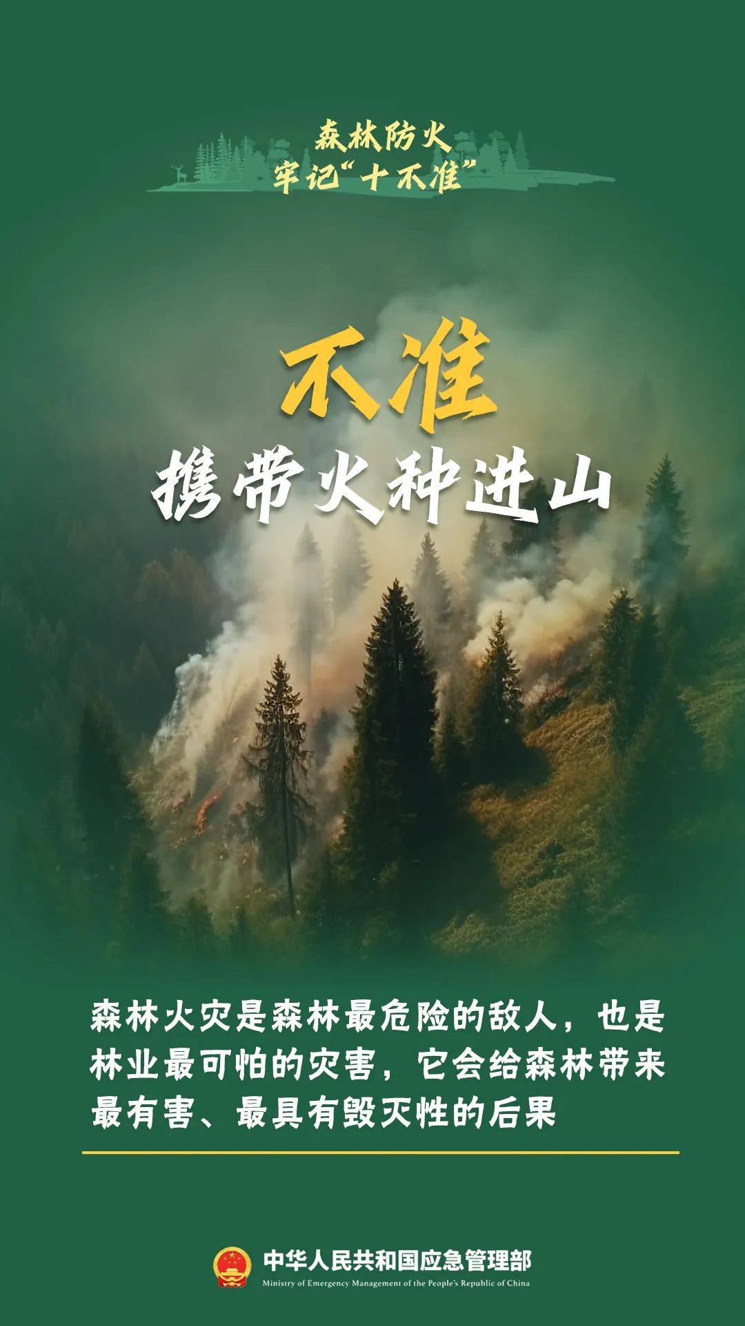 寒假烟花虽美，背后风险不容忽视！ 燃放烟花有风险，寒假期间需谨慎！