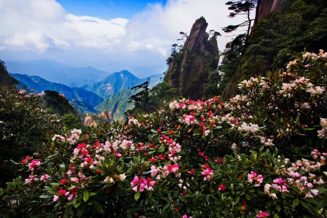 惊！江西三清山独特美景全解析 江西三清山：被低估的旅游宝藏地
