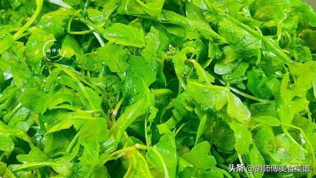 春日养生：三种特色野草美食制作