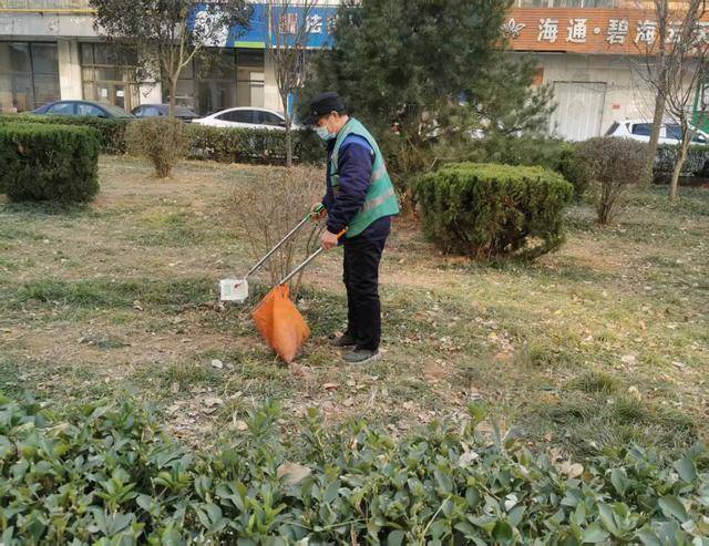 聚焦龙安区城市管理：从市容到绿化的全方位提升
