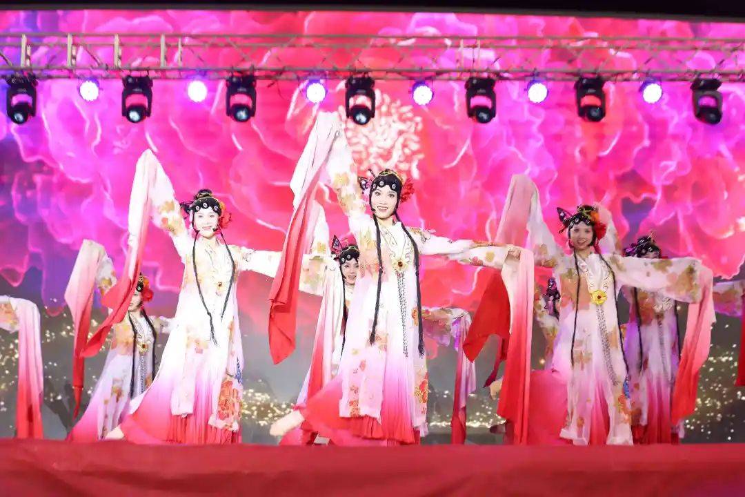 加纳之旅：福建演出院团的文化交流盛事，中加建交65周年节点：福建文艺团在加纳的文化之旅