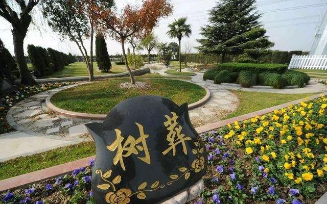 大S骨灰安置生变：小S妥协于多方压力选择树葬