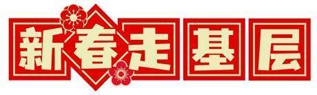 河津乡村集市：传统与现代融合的年货盛宴，河津乡村：集市中的多元发展与乡村振兴