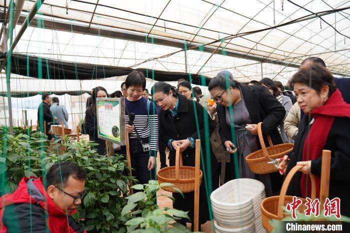 东博会：新春交流，共话未来筹备，东博会新春交流：中外嘉宾齐聚，展望第22届