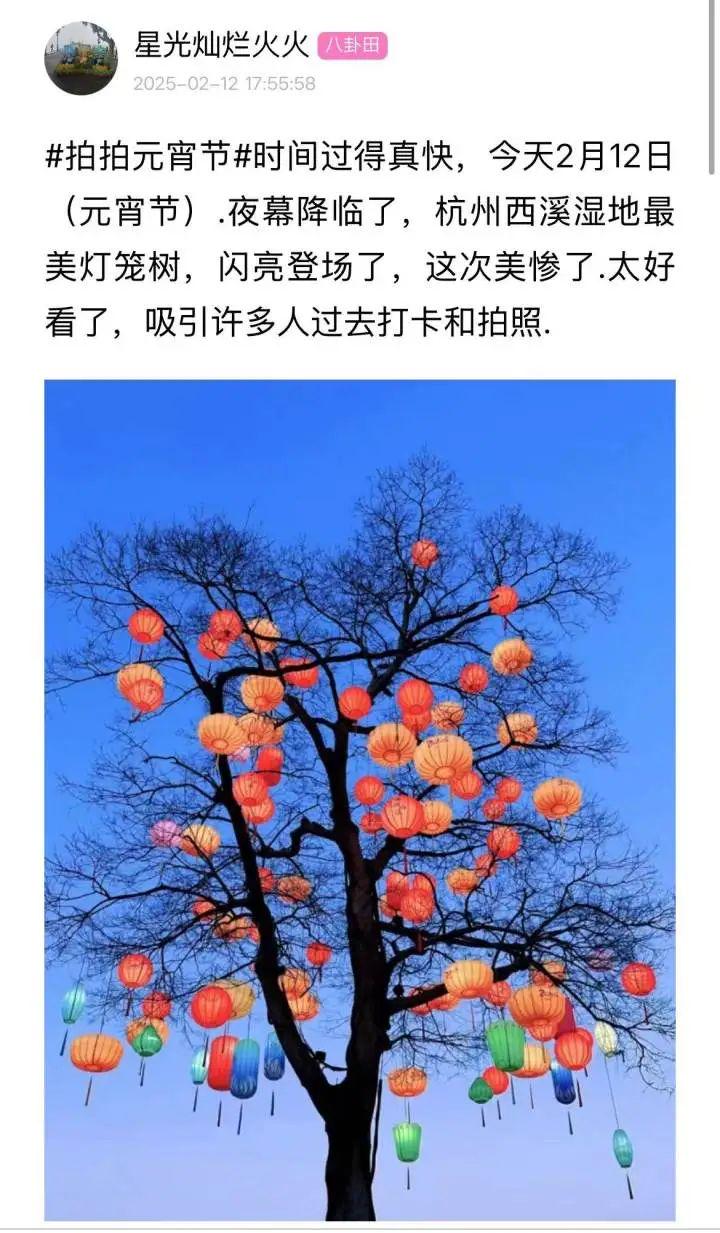 元宵节：西溪湿地赏灯人潮涌动，正月十五元宵节：西溪湿地赏灯盛景