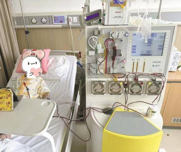 造血干细胞捐献：从拒绝到争捐，背后的故事