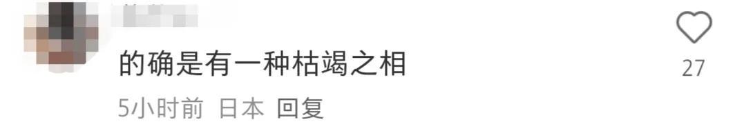 大S离世：家人友人的反应与她生前的最后时光