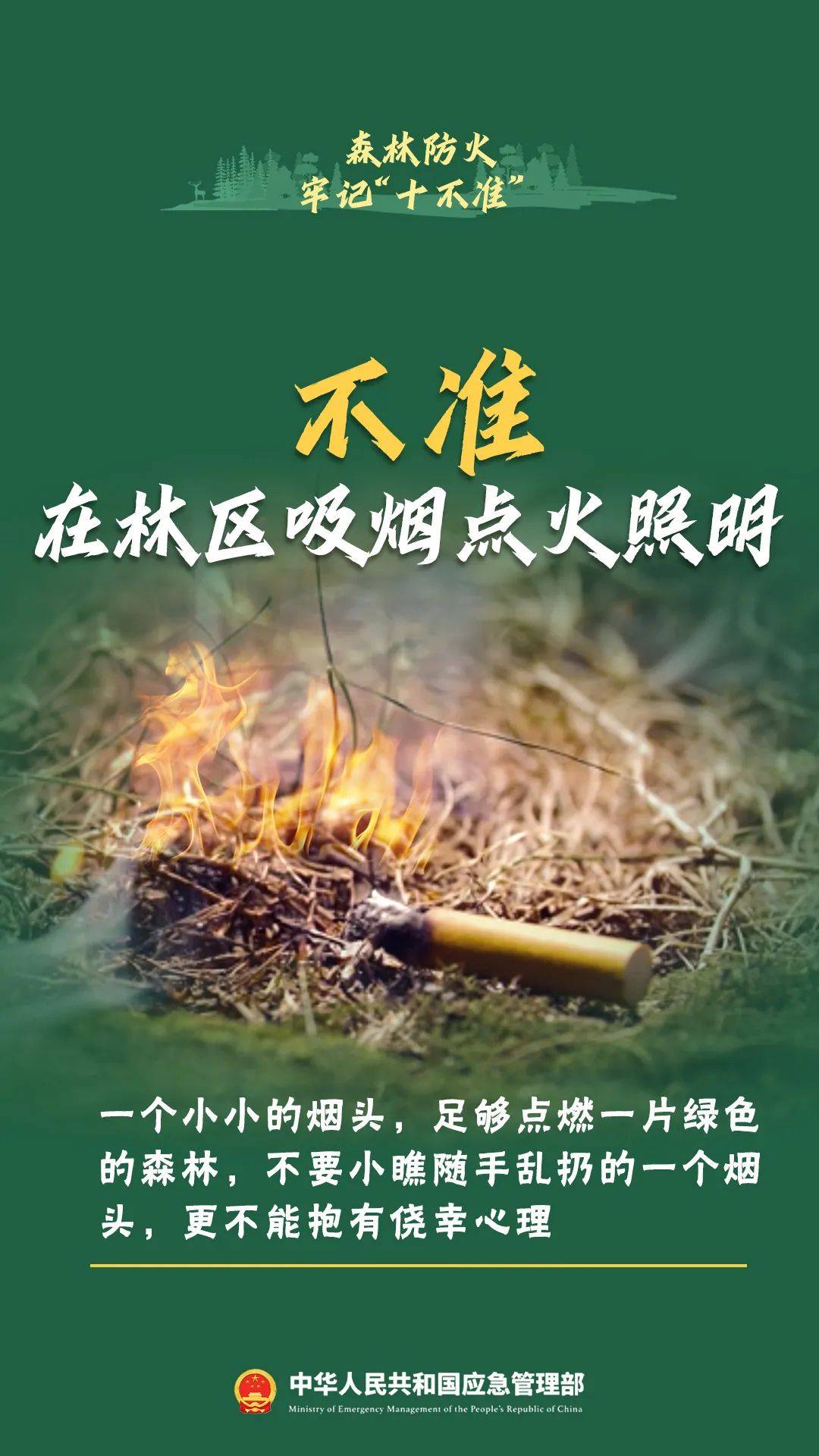 寒假烟花虽美，背后风险不容忽视！ 燃放烟花有风险，寒假期间需谨慎！