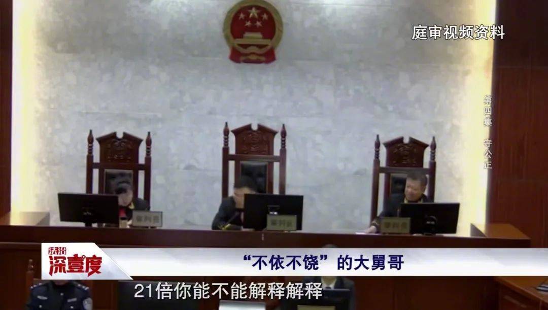 树引发的纠葛：守公正中的法律与情理