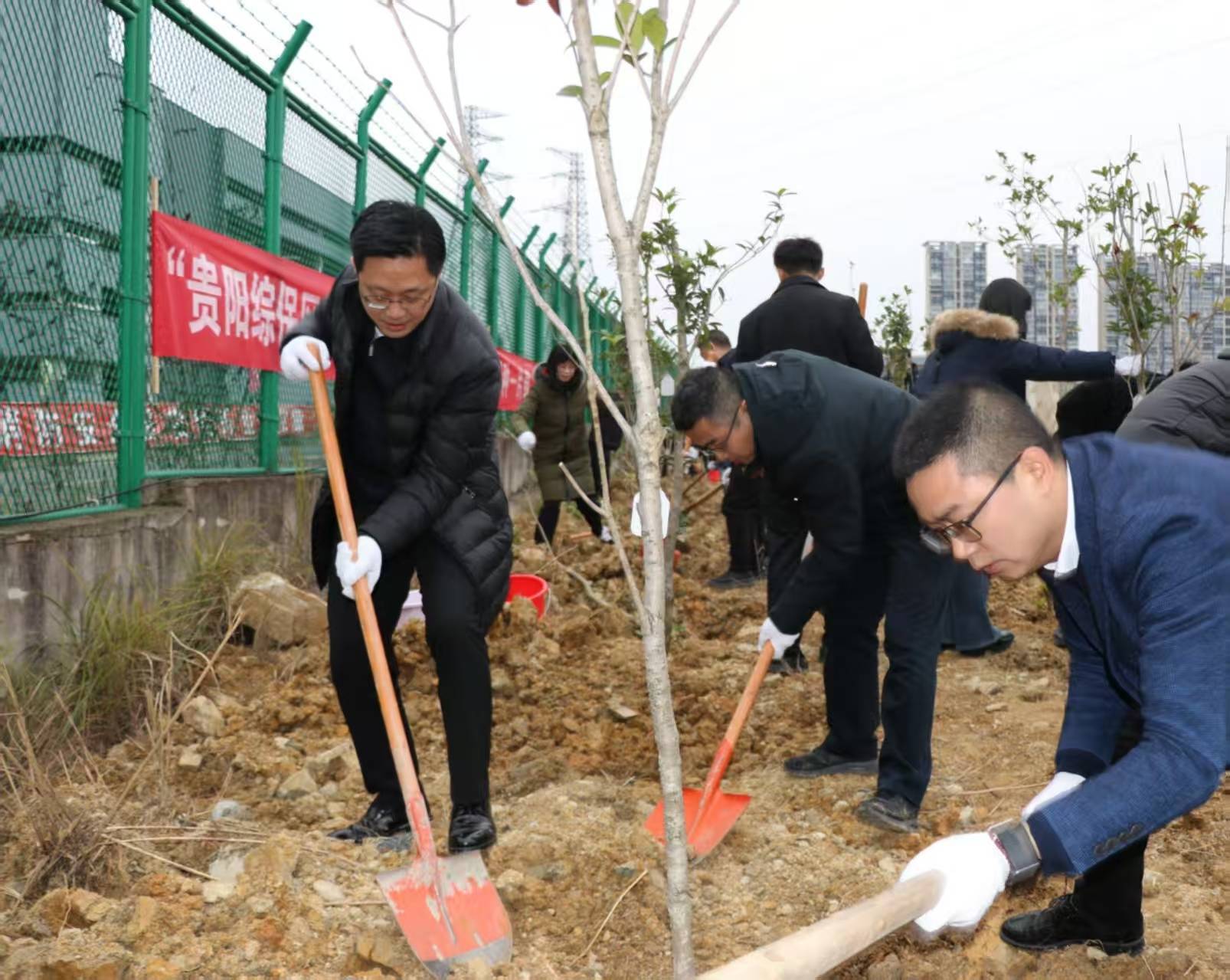 贵阳综保区开启2025年春季植树之旅，践行绿色发展理念