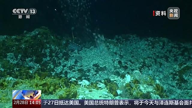 探秘即将开建的冷泉生态系统研究装置，广州南沙开建世界首个2000米级深海实验室