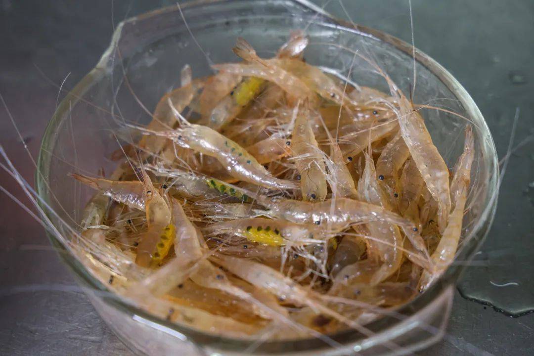 〈哪吒2〉爆火背后的美食彩蛋与吴中美食之旅 〈哪吒2〉中的美食元素与吴中美食的奇妙联系