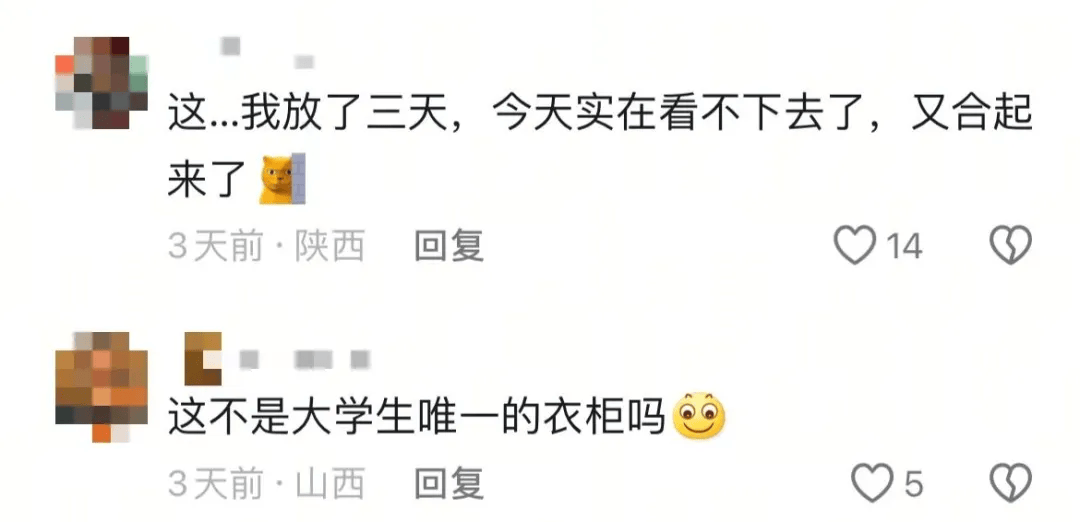 春节来临，你的行李箱是啥样？，行李箱里的春节：混乱与温馨