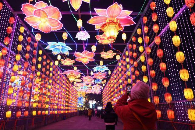 “文化游”点亮春节假期，2025年旅游消费有望持续向上，春节假期“文化游”兴起，2025年旅游消费或将持续向上