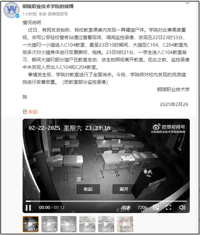 铜陵职院教室死猫：是人为还是意外？，铜陵职业技术学院教室死猫事件全解析